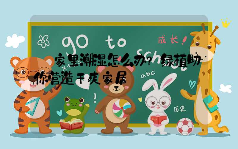  家里潮湿怎么办？绿植助你营造干爽家居